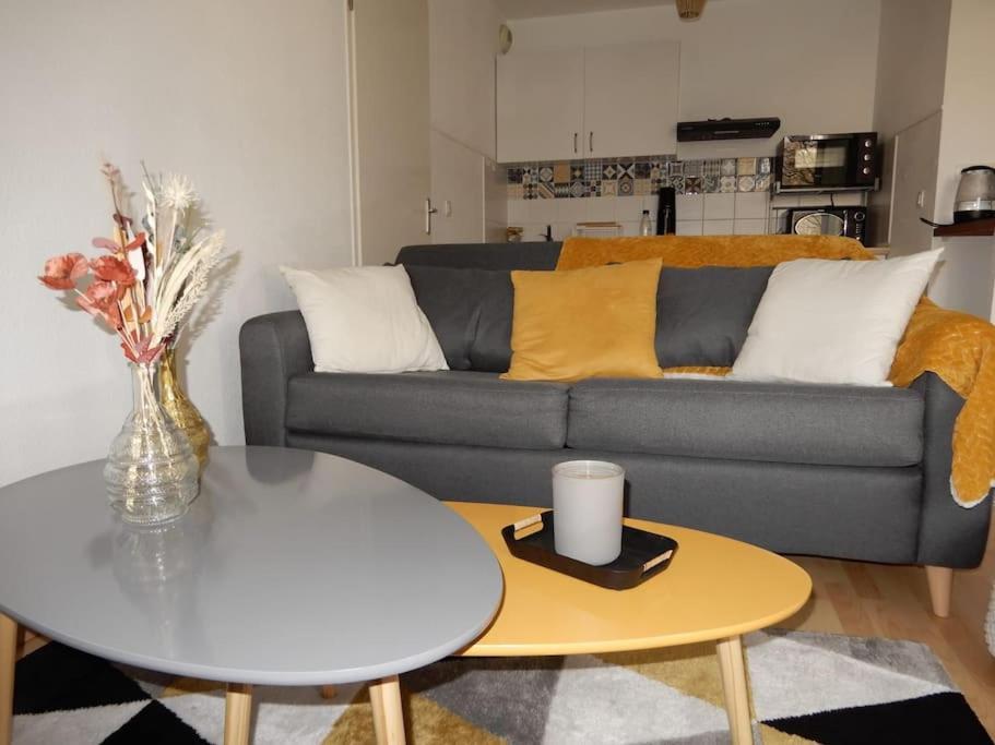 Bienvenue Au Cocon D'Alyssa Apartment Langon  Bagian luar foto